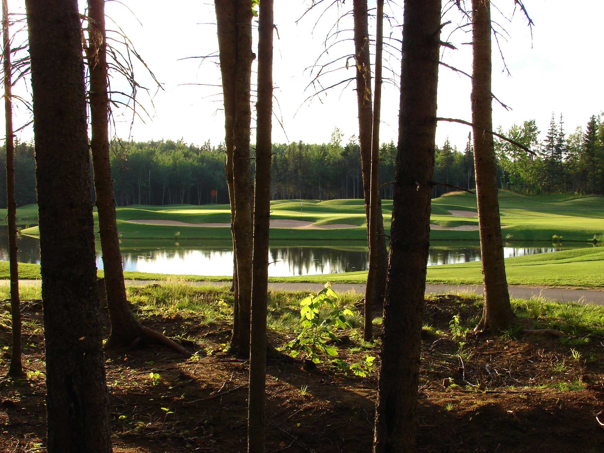 Fox Creek Golf Club